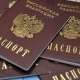 В Курске осудили организаторов нелегального канала миграции, задержанных ФСБ