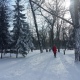 В Курской области обещают снег, туман и мороз