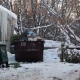 Регоператор пояснил, куда в Курске девают выброшенные елки