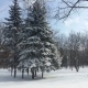 В Курской области обещают туман и мороз до -21