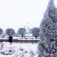В Курской области обещают до 26 градусов мороза