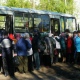 Весной для курян запустят 37 маршрутов дачных автобусов