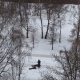 Курск. На улице умер мужчина