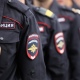 На службу в полицию Курска требуются кинологи и кавалеристы