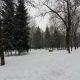 В Курской области обещают снег, туман и гололед
