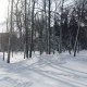 В Курской области обещают снег и ветер