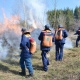 В Курской области утвержден сводный план тушения лесных пожаров