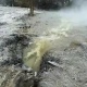 В Курске потоки нечистот льются в заповедное урочище
