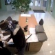 В Курске задержан подозреваемый в разбойном нападении на офис микрозаймов