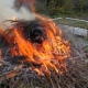 В Курской области установился 3-й класс пожарной опасности