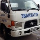 В Курске эвакуировать автомобиль помешала собака
