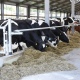 Курская область планирует увеличить экспорт продукции АПК