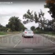 Под Курском огромный тополь рухнул на дорогу, машины чудом успели увернуться (ВИДЕО)