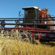 Три района Курской области завершили уборку зерновых