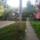 В Курске рухнувшее дерево перегородило дорогу