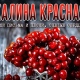 Осужденные курских колоний пели романсы и читали рэп