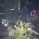 В Курской области пьяный водитель «БМВ» врезался в дерево, погибла пассажирка (фото)
