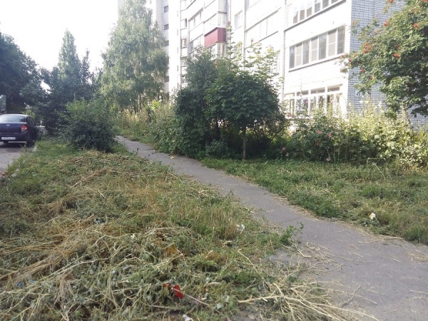 Санитарное состояние некоторых многоквартирных домов оставляет желать лучшего Санитарное состояние некоторых многоквартирных домов оставляет желать лучшего