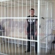Курск. В областном суде слушается дело обвиняемого в убийстве супружеской пары (видео)