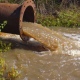 Курская область. Коммунальную компанию обвиняют в загрязнении водоема