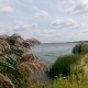 В Курской области возможен небольшой дождь