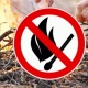 В Курской области ограничено пребывание людей в лесах