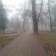 В Курской области обещают дождь, туман и до +18°С