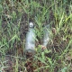 В Курске мать и сын, избившие и ограбившие пенсионера, получили 7 лет колонии на двоих