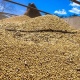 Курский предприниматель, покупая сою по выгодной цене, лишился 900 тысяч рублей