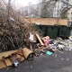 Жители Курска жалуются на свалку в центре города