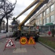 В Курске запланирован массовый снос деревьев