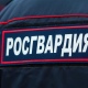 Под Курском задержан мужчина, находившийся в федеральном розыске