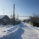 Под Курском стая бродячих собак держит в страхе целое село