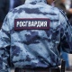 Безопасность на Новый год будут обеспечивать больше 1000 росгвардейцев