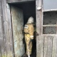 Под Курском на пожаре погиб мужчина