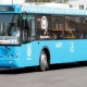 В Курскую область из Москвы пустят дополнительные автобусы