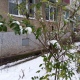 Синоптики рассказали, какой будет весна