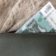 В Курской области проверят доходы населения