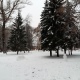 В Курской области еще одна неделя начнется с тумана и гололедицы