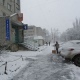 В Курской области обещают мокрый снег и сильный ветер