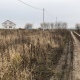 В Курской области многодетные семьи, снятые с очереди, смогут получить земельные участки