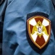 Житель Курска, ударивший росгвардейца, заплатит 100 тысяч