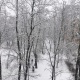 В Курской области обещают небольшой снег и до +3ºС