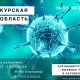 В Курской области на карантине из-за коронавируса находится 91 человек