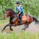Курянка на лошади Коста Рика взяла «серебро» в Подмосковье