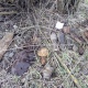 Груду боеприпасов откопали под Курском