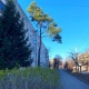 В Курской области обещают от 7°С тепла до 6°С мороза