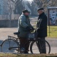Куряне старше 65 лет будут подвергнуты самоизоляции