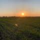 В Курске обещают до двух градусов мороза