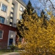 Завтра в Курской области ожидается от нуля до +12°С